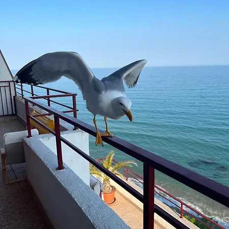 Sea View Terrace 1 Bedroom Apt * Sveti Vlas